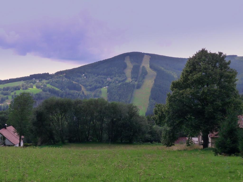 Penzion V Kolonce Strážné Exterior foto
